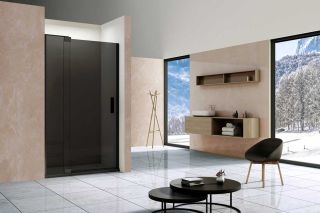 Душевая дверь Vincea Extra VDP-1E9010CGB, 900/1000, черный, стекло тонированное